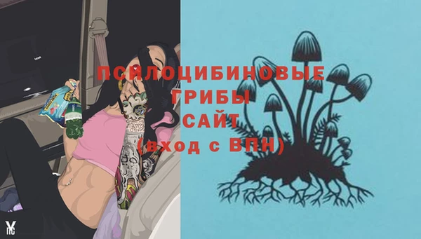 герыч Горняк