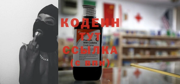 прущие грибы Горнозаводск