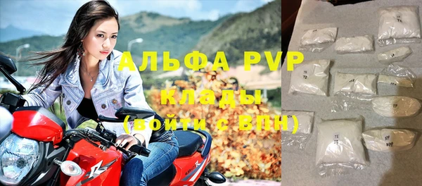 прущие грибы Горнозаводск