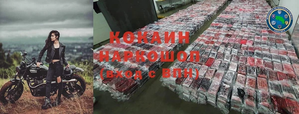 прущие грибы Горнозаводск