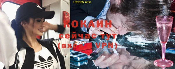 прущие грибы Горнозаводск
