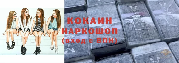 соль ск Горно-Алтайск